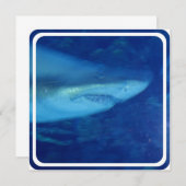 Grande invitation au requin blanc (Devant / Derrière)