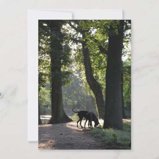 Grande Invitation Dane (Devant)