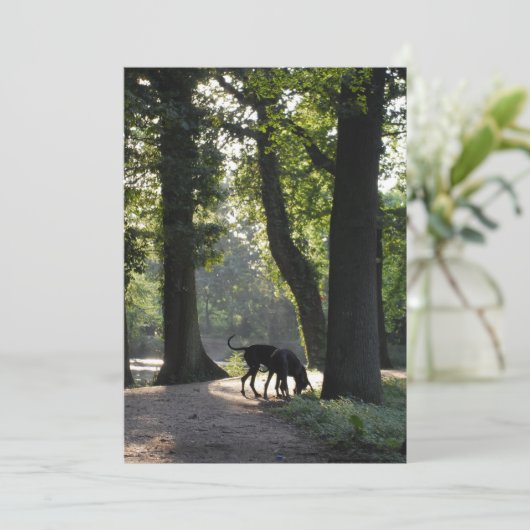 Grande Invitation Dane (Debout devant)