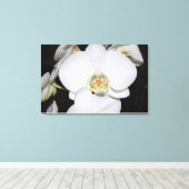 grande orchidée blanche en fleurs impression sur t (Insitu (Plancher de Bois))
