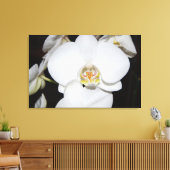 grande orchidée blanche en fleurs impression sur t (Insitu(Salon))