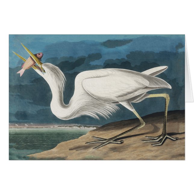 Grande Peinture de la faune d'Audubon Heron blanc (Devant horizontal)
