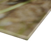 Grande planche à découper en verre avec des pavots (Coin)