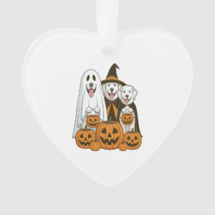 Grande Pyrenees Chien Fantôme Sorcière Halloween C