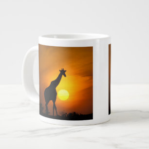 Grande Tasse Afrique, Kenya, Masai Mara. Girafe (Giraffa