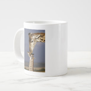 Grande Tasse Afrique, Kenya, Masai Mara. Girafes (Giraffa