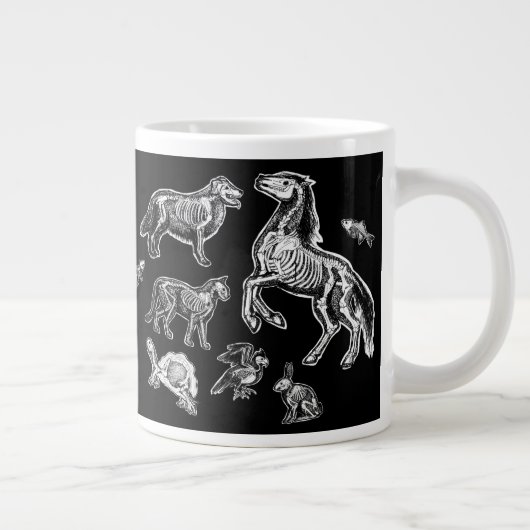Grande Tasse Anatomie animale Radiographie squelettique (Droite)