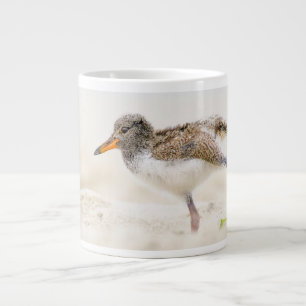 Grande Tasse Animaux de bébés cutest American Oystercatcher C