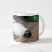 Grande Tasse Animaux de bébés cutest | Bébé Géant Panda Dormir (Devant droit)
