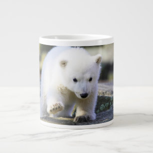 Grande Tasse Animaux de bébés cutest Bébé Ours Polaire Cub