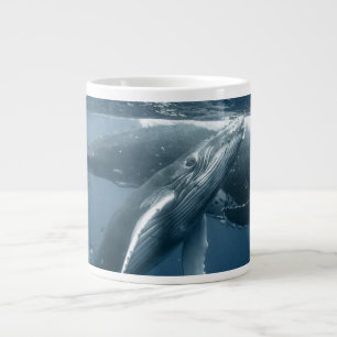 Grande Tasse Animaux de bébés cutest Calf de baleine à bosse