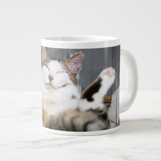 Grande Tasse Animaux de bébés cutest | Chat dans le lit (Devant droit)