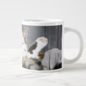 Grande Tasse Animaux de bébés cutest | Chat dans le lit (Droite)