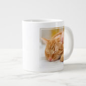 Grande Tasse Animaux de bébés cutest | Chat de gingembre dorman (Devant droit)