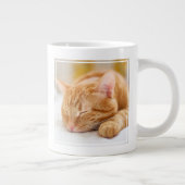 Grande Tasse Animaux de bébés cutest | Chat de gingembre dorman (Droite)