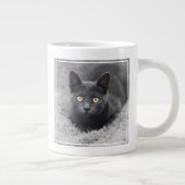Grande Tasse Animaux de bébés cutest | Chat gris (Droite)