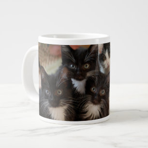 Grande Tasse Animaux de bébés cutest Chatons noirs et blancs