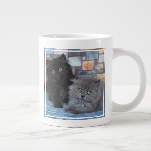 Grande Tasse Animaux de bébés cutest | Chatons persans sur couv (Droite)