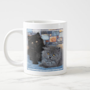 Grande Tasse Animaux de bébés cutest   Chatons persans sur couv