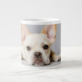 Grande Tasse Animaux de bébés cutest | French Bulldog Lying Dow (Devant)