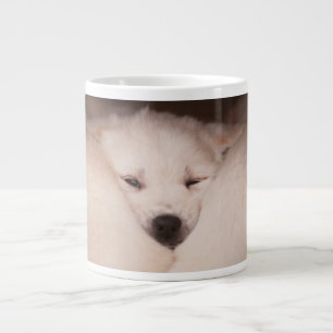 Grande Tasse Animaux de bébés cutest   Golden Retriever Snuggle
