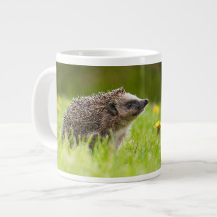 Grande Tasse Animaux de bébés cutest   Hérisson européen