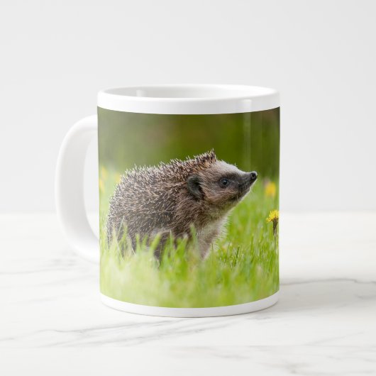 Grande Tasse Animaux de bébés cutest | Hérisson européen (Devant gauche)