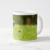 Grande Tasse Animaux de bébés cutest | Hérisson européen (Devant droit)