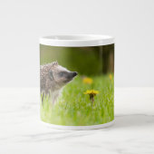 Grande Tasse Animaux de bébés cutest | Hérisson européen (Devant)