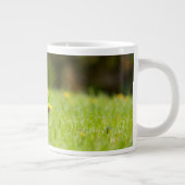 Grande Tasse Animaux de bébés cutest | Hérisson européen (Droite)