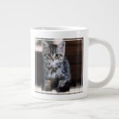 Grande Tasse Animaux de bébés cutest | Kitten sur Touches de pi (Droite)