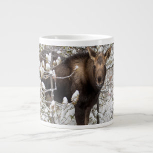 Grande Tasse Animaux de bébés cutest Moose Calf