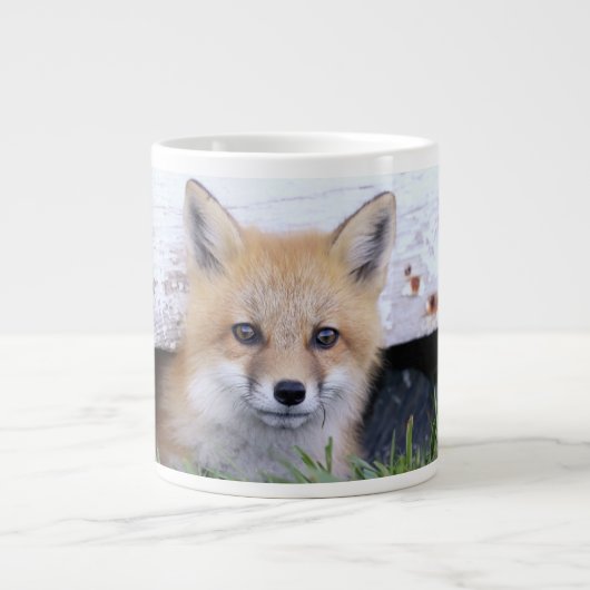 Grande Tasse Animaux de bébés cutest | Red Fox Kit Peeking (Devant)