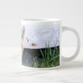 Grande Tasse Animaux de bébés cutest | Red Fox Kit Peeking (Droite)