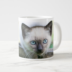 Grande Tasse Animaux de bébés cutest Siamese Kitten 2
