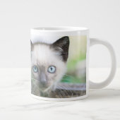 Grande Tasse Animaux de bébés cutest | Siamese Kitten 2 (Droite)
