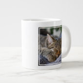 Grande Tasse Animaux de bébés cutest | Tabby Kitten Sommeil (Devant droit)
