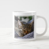 Grande Tasse Animaux de bébés cutest | Tabby Kitten Sommeil (Droite)