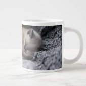 Grande Tasse Animaux de bébés cutest | Tiny Kitten Dormir (Droite)