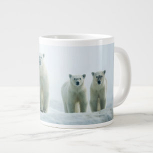 Grande Tasse Animaux de bébés cutest   Trois jeunes ours polair