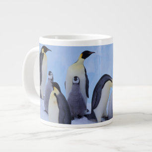 Grande Tasse Antarctique, Emporer Penguins