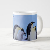 Grande Tasse Antarctique, Emporer Penguins (Devant droit)