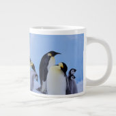Grande Tasse Antarctique, Emporer Penguins (Droite)