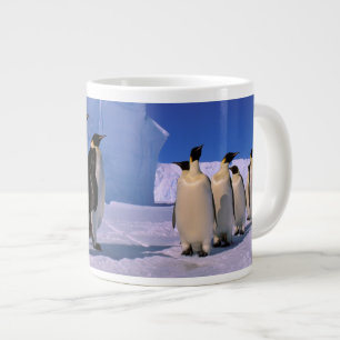 Grande Tasse Antarctique, Territoire antarctique australien, 7