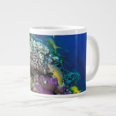 Grande Tasse Around Small Coral (Devant droit)