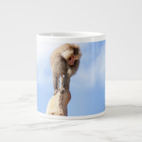 Babouin singe au sommet d'une montagne
