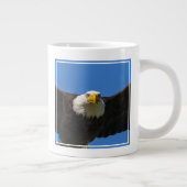 Grande Tasse Bald Eagle Flyby Up Close (Droite)
