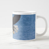 Grande Tasse Bald eagle in flight (Droite)