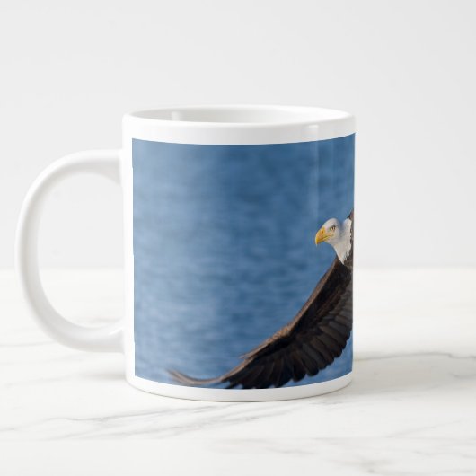 Grande Tasse Bald eagle in flight (Gauche)