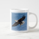 Grande Tasse Bald eagle in flight (Droite)
